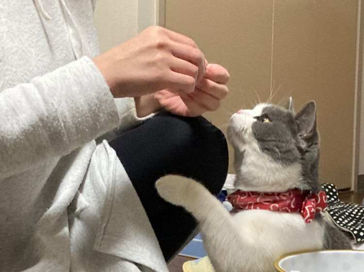 わんちゃん・ねこちゃん用【豊作和牛赤身肉ジャーキーMINI】(15g)(豊作和牛さん)のメインイメージ